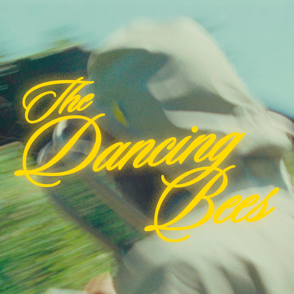 The Dancing Bees